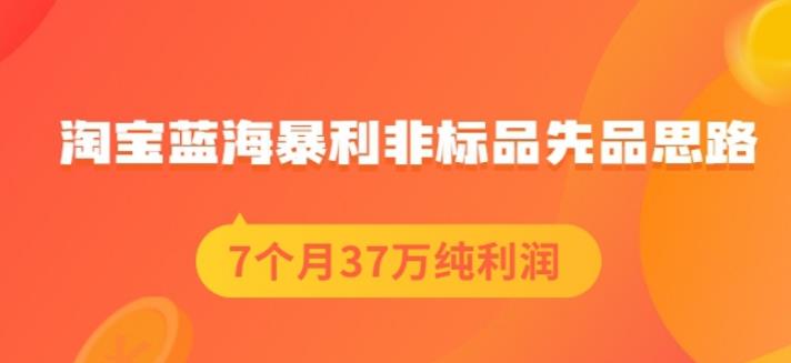 盗坤淘宝蓝海暴利非标品先品思路，7个月37万纯利润，压箱干货分享！【付费文章】网创吧-网创项目资源站-副业项目-创业项目-搞钱项目念念云网创