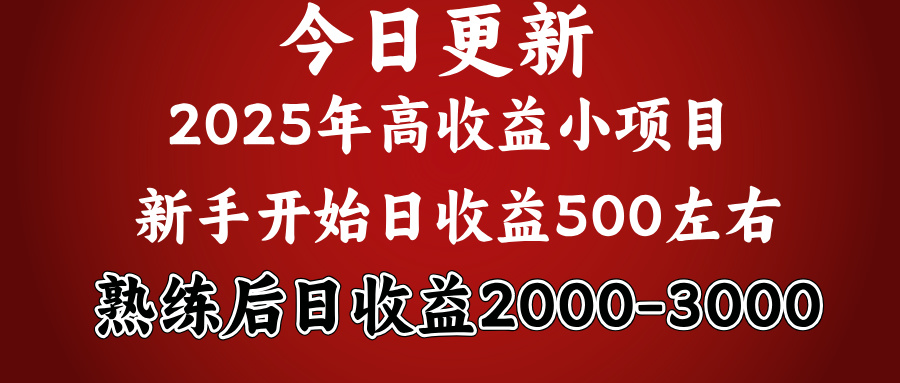 2025开年好项目，新手日收益500+ 熟练掌握后，日收益平均2000多网创吧-网创项目资源站-副业项目-创业项目-搞钱项目念念云网创